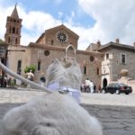 Wedding Planner a Varese, Milano e Como Patrizia Zannoni - White Omnia Wedding