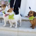 Wedding Planner a Varese, Milano e Como Patrizia Zannoni - White Omnia Wedding